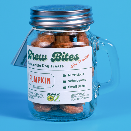 Pumpkin Brew Bites Mini Mug