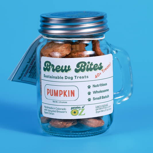 Pumpkin Brew Bites Mini Mug