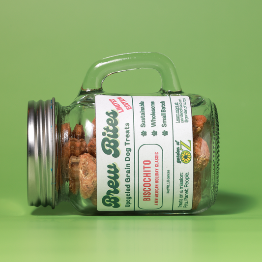 Biscochito Brew Bites Mini Mug - Limited Edition Winter