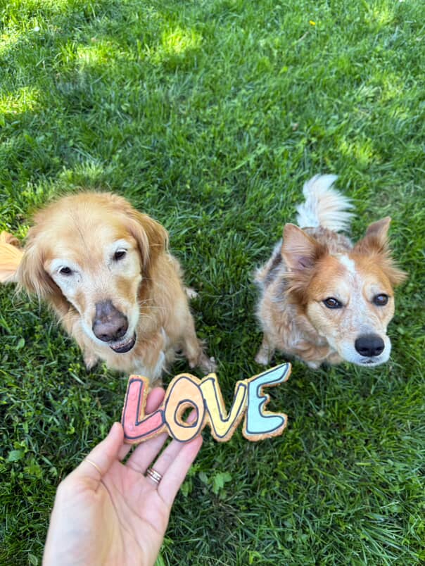 Pride LOVE - Pup Cookie