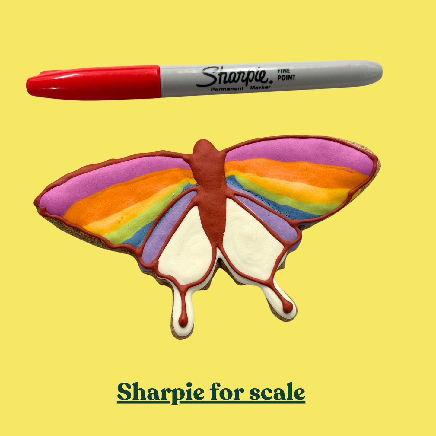 Large Butterfly Pride Cookie