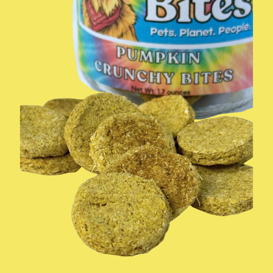 Two-Bite-Brew-Bites Mini Mug