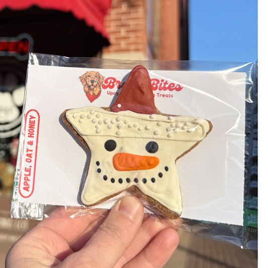 Snow Dude - Pre Order