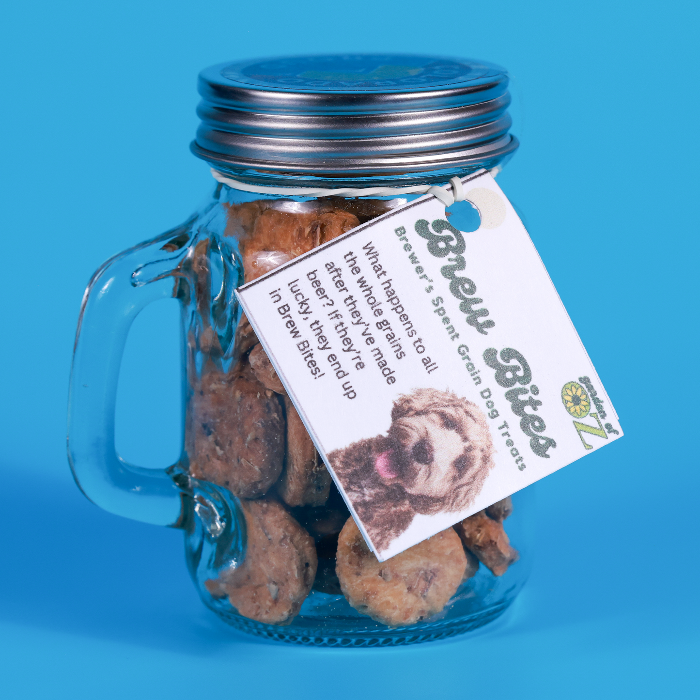 Peanut Butter Brew Bites Mini Mug