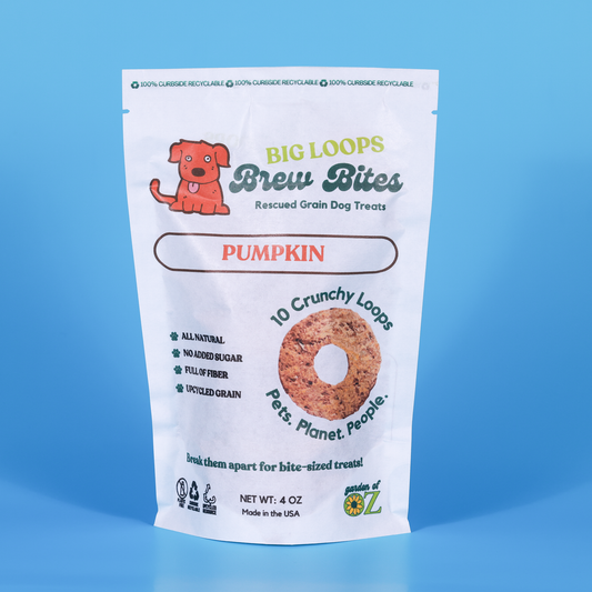 Pumpkin Big Loops
