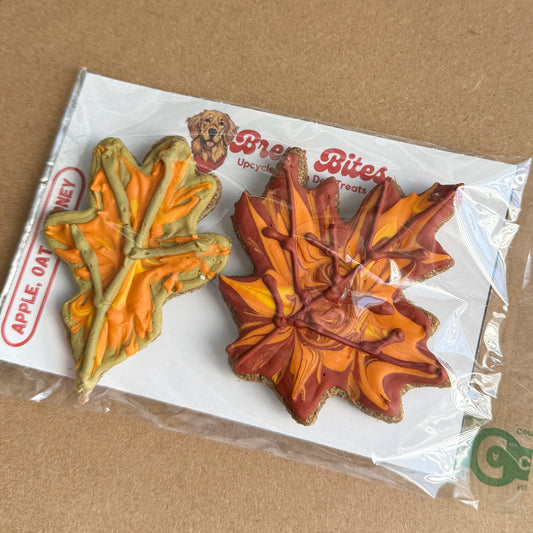 Fall Leaves - Seasonal