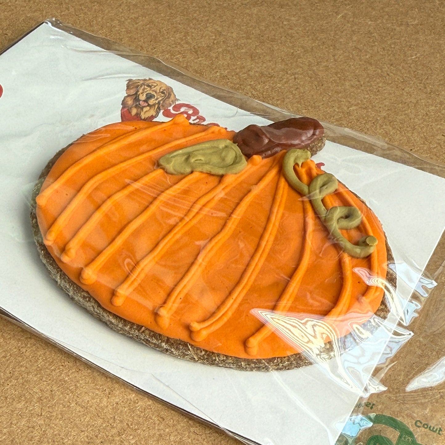 Pumpkin - Fall Seasonal